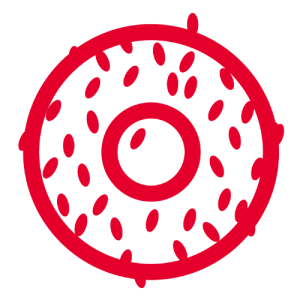 icone donut