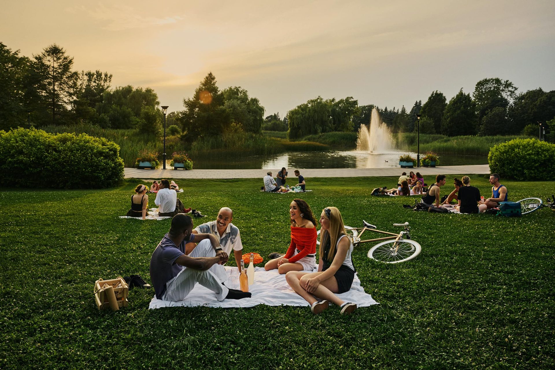 Pique nique entre amis dans un parc de Montr&eacute;al